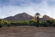 5629 E Joshua Tree Lane , Paradise Valley, AZ