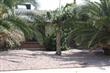 3819 E Hampton Avenue , Mesa, AZ