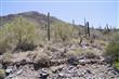 36480 N 62 Street , Cave Creek, AZ