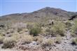 36430 N 62 Street , Cave Creek, AZ