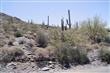 36480 N 62 Street , Cave Creek, AZ