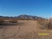Maricopa