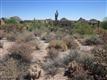 Scottsdale
