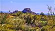 1852 E Century Way , Carefree, AZ
