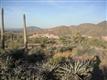 9952 E Sienna Hills Drive , Scottsdale, AZ