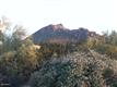 26434 N 110TH Way , Scottsdale, AZ