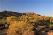 41799 N 99th Place , Scottsdale, AZ