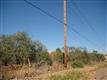 Wickenburg