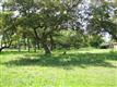 403  Highland Springs Ln , Georgetown, TX