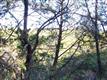 1103-5 Falcon Ledge Dr, Austin, TX 78746