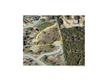 Lot 26 Andy's Point, Burnet, TX 78611