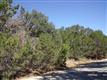 0000  Trail Of The Madrones , Austin, TX