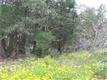 1665  A Gotier Trce, Paige, TX 78957