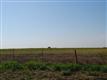 1400 County Road 313, Jarrell, TX 76537