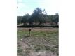 318  Highland Springs , Georgetown, TX