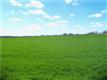18001 Vorwerk Rd #10, Manor, TX 78653