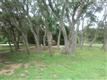 705  Lion Dr , Leander, TX