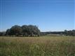 351 County Road 271 Hwy, Leander, TX 78641