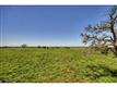 400 County Road 473, Thrall, TX 76578