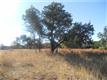 400  Goldridge Dr , Georgetown, TX