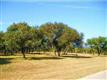 2300  Cliff Pt , Spicewood, TX