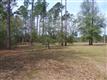 20456  Pine Forest Rd , Robertsdale, AL