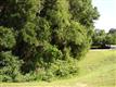 0 Sandstone Ct, Fairhope, AL 36532
