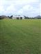 25868 E County Road 54 , Daphne, AL