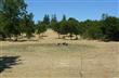 1021 Alexander Valley Rd, Healdsburg, CA 95448