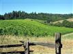 6585 River Rd, Forestville, CA 95436