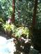 9208  Argonne Way , Forestville, CA