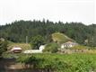 8781  Martinelli Rd , Forestville, CA