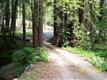 10285  Hwy 116 Hwy N, Forestville, CA