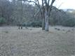 30375  Creekside Dr , Lake Pillsbury, CA