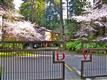 14058  Sosna Way , Guerneville, CA