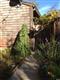 850 E Cotati Ave 