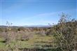6169  Anderson Rd , Forestville, CA