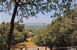 9632 Vinecrest Rd, Windsor, CA 95492