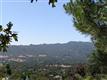 445  Chestnut Ave , Sonoma, CA