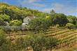3100  Wood Valley Rd , Sonoma, CA