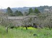 10275  Burgandy Way 