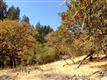 1515  Lorraine Way , Santa Rosa, CA