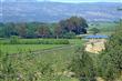 4101  Dry Creek Rd , Napa, CA