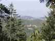 8679  Mill Creek Rd 