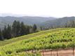 0  Mill Creek Rd , Healdsburg, CA