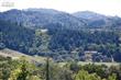 7182  Dry Creek Rd , Healdsburg, CA