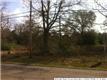 416  Cockerham Rd , Denham Springs, LA