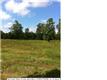 35800 N Weiss Rd , Walker, LA