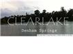 9807  Clearlake Ln , Denham Springs, LA