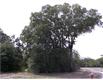 4800  Knight Drive , Bryan, TX